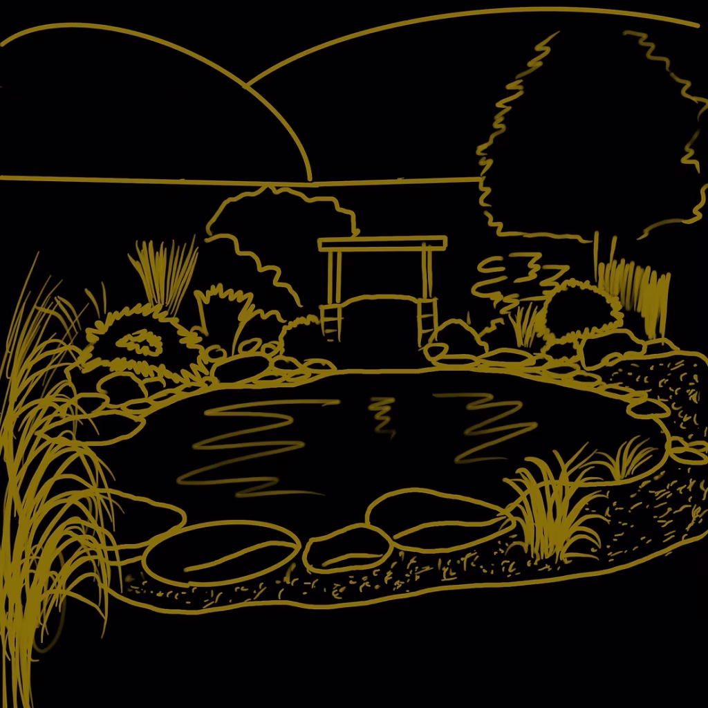 dessin jardin japonais