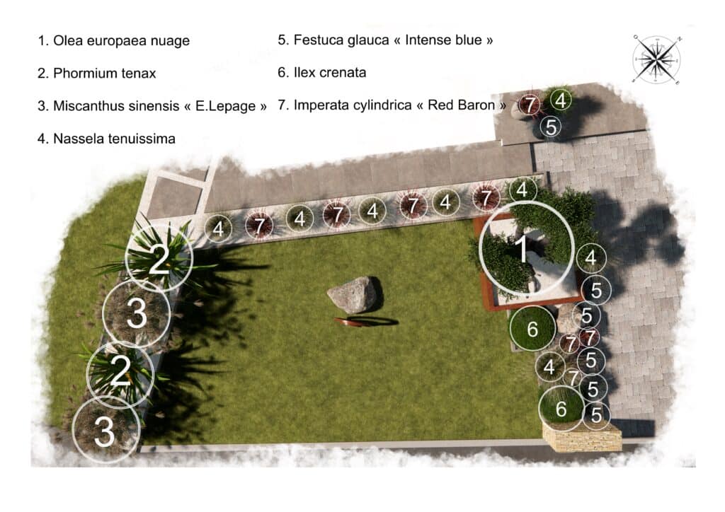 Plan de jardin 3D – conception paysagère professionnelle