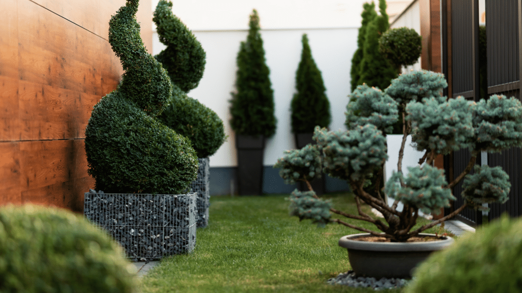 jardin sur mesure 3D