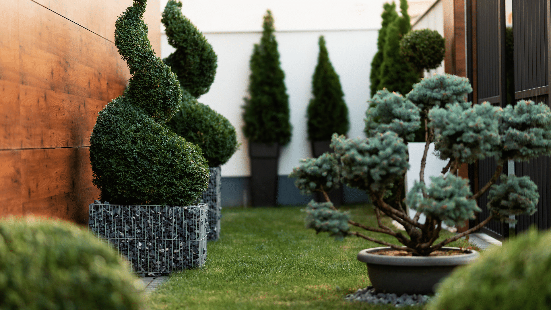 Aménager un petit jardin sur mesure grâce à la 3D : des idées faciles à concrétiser !