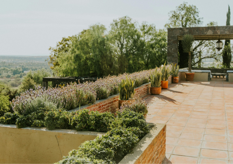 10 idées d'aménagement jardin faciles pour transformer votre extérieur