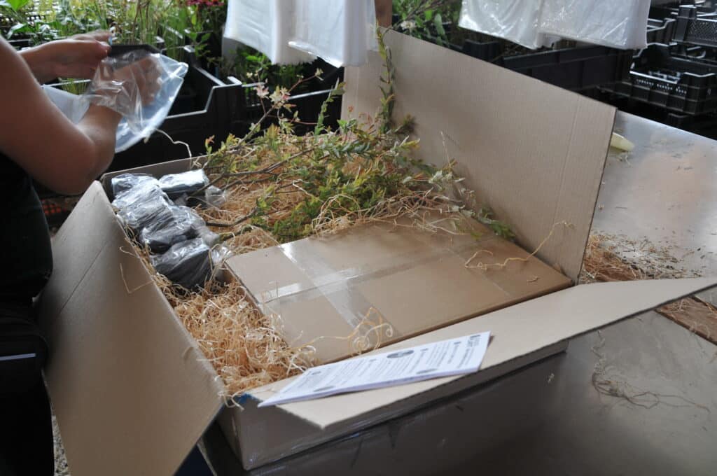 Leaderplant livraison dans toute la france