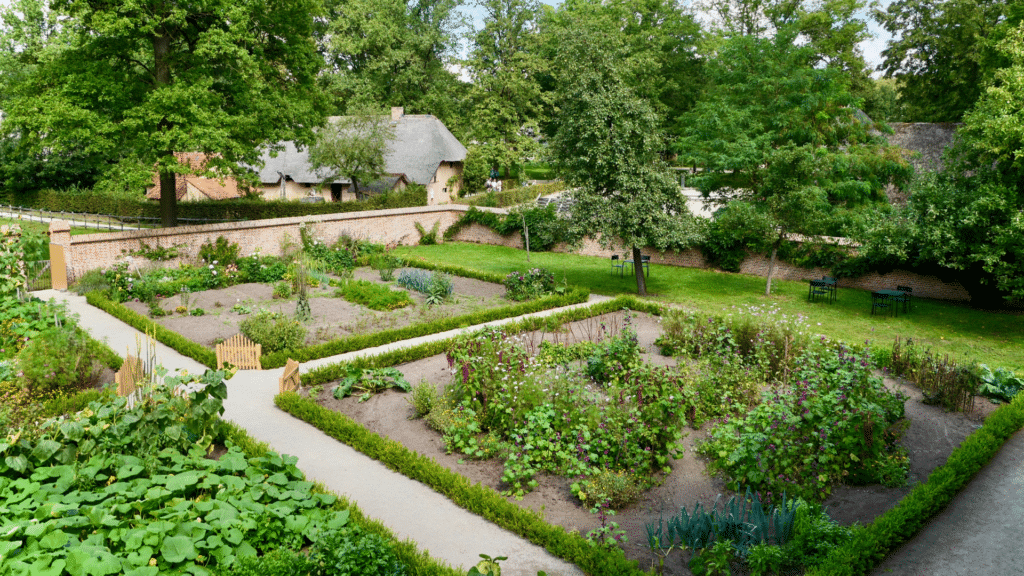 Jardin écologique sur mesure : le concepteur paysagiste au service de la biodiversité